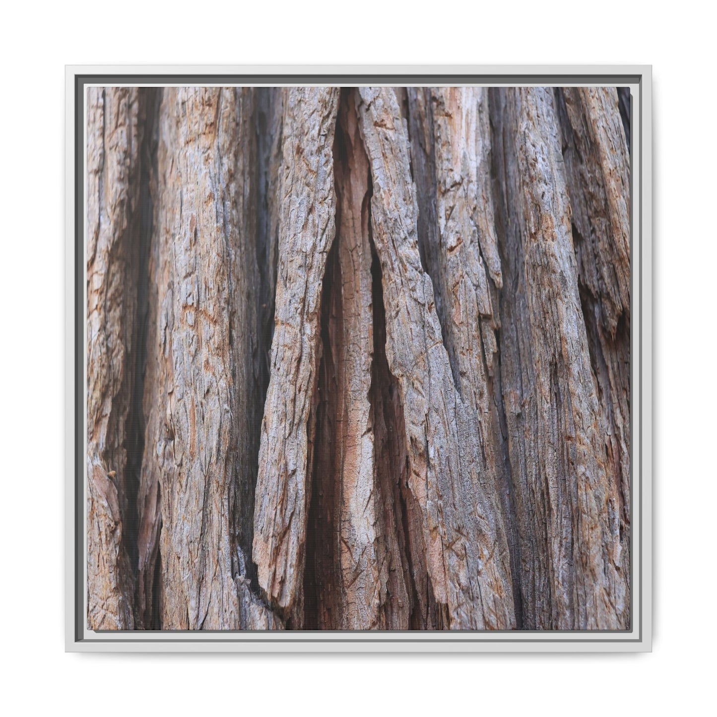 Nature's Sculpture - Unique Stretched Canvas Wall Art