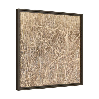 Golden Stalks - Unique Stretched Canvas Wall Art
