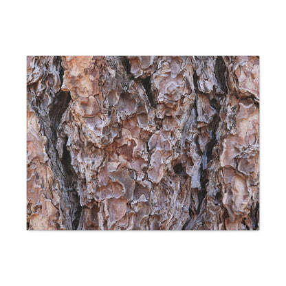 Rough Canvas - Unique Frameless Canvas Wall Art