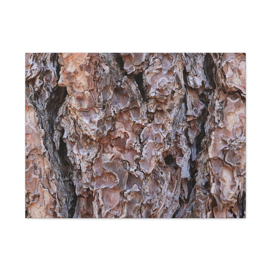 Rough Canvas - Unique Frameless Canvas Wall Art
