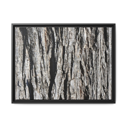 Bark Lines - Unique Stretched Canvas Wall Art