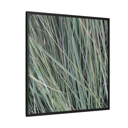 Grassland Symphony - Unique Stretched Canvas Wall Art