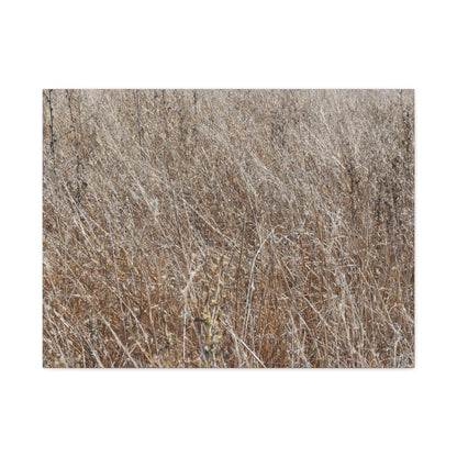 Whispers of Autumn - Unique Frameless Canvas Wall Art - Art By Earth