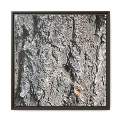 Crusty Exterior - Unique Stretched Canvas Wall Art