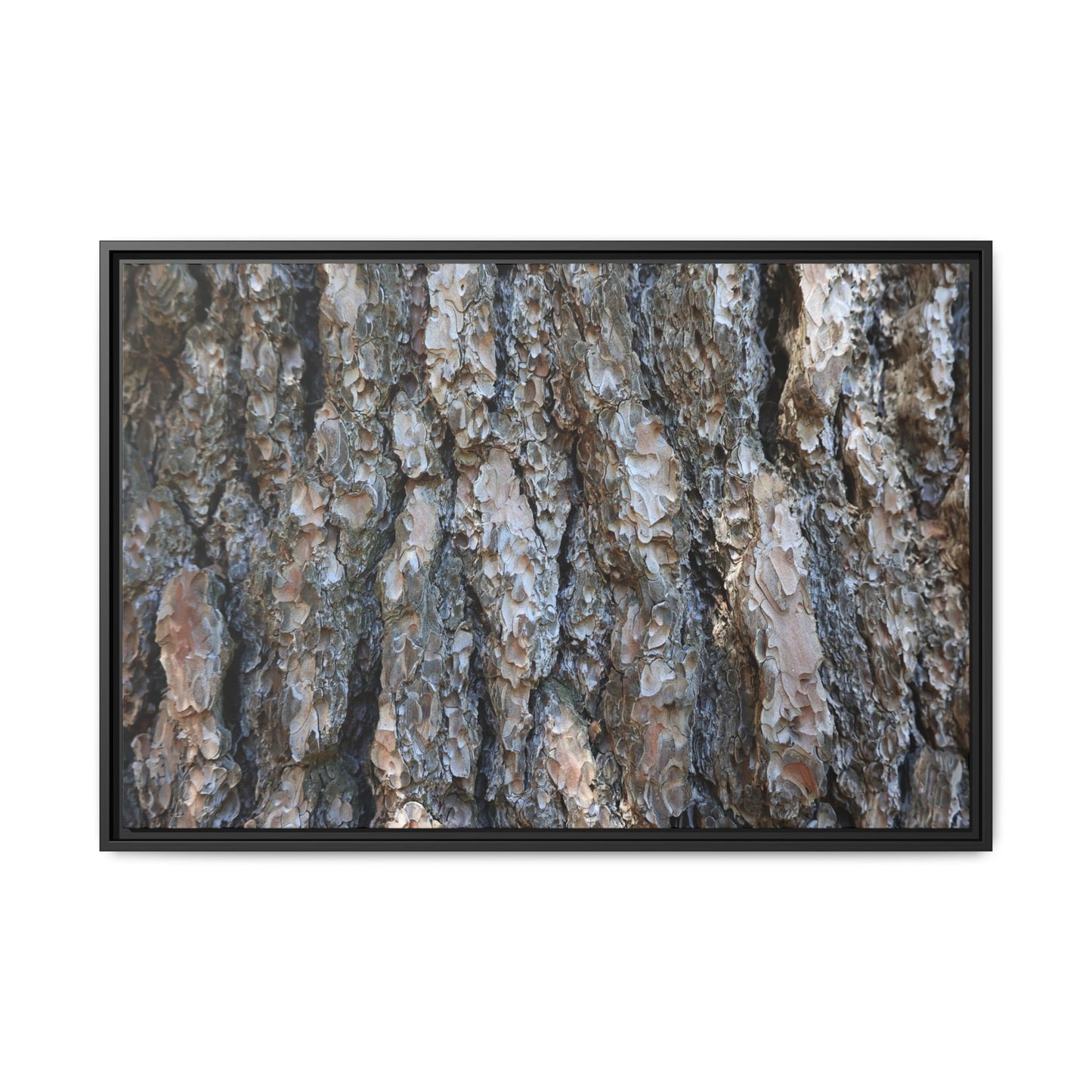 Bark Whispers - Unique Stretched Canvas Wall Art