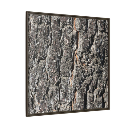 Aged Beauty - Unique Stretched Canvas Wall Art