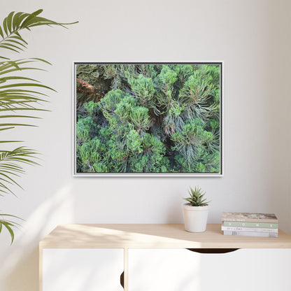 Verdant Whispers - Unique Stretched Canvas Wall Art
