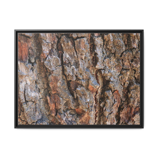 Craggy Textures - Unique Poster Wall Art