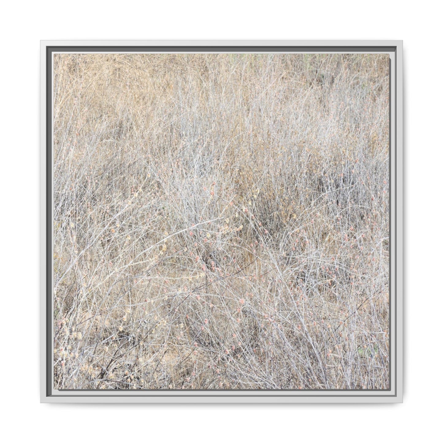 Whispers of Dry Grass - Unique Stretched Canvas Wall Art - Art By Earth