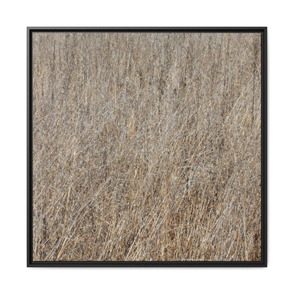 Whispers of Straw - Unique Stretched Canvas Wall Art - Art By Earth