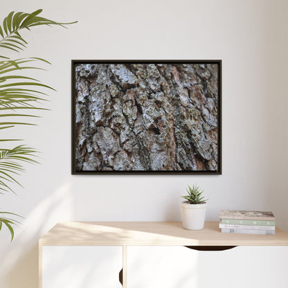 Woodland Canvas - Unique Stretched Canvas Wall Art