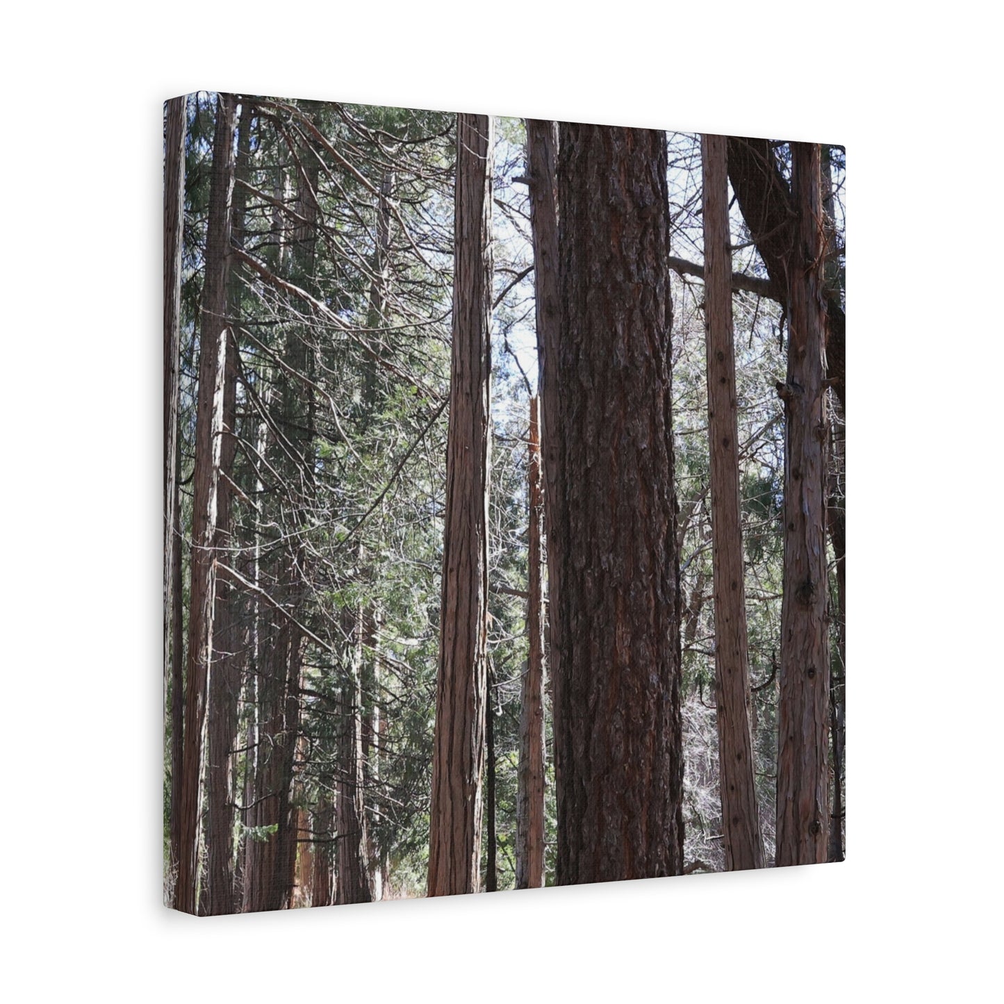 Vertical Sentinels - Unique Frameless Canvas Wall Art