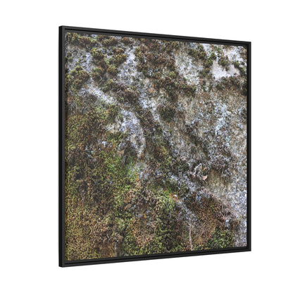 Mossy Whispers - Unique Stretched Canvas Wall Art