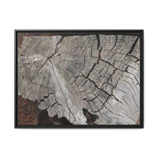 Time's Signature - Unique Stretched Canvas Wall Art