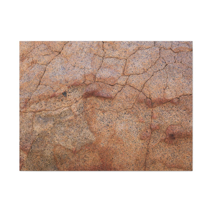Cracked Earth's Whisper - Unique Frameless Canvas Wall Art