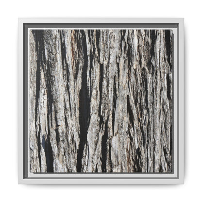 Bark Lines - Unique Stretched Canvas Wall Art