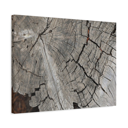 Cracked Memories - Unique Frameless Canvas Wall Art