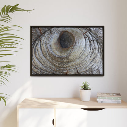 Echoes of Time - Unique Stretched Canvas Wall Art