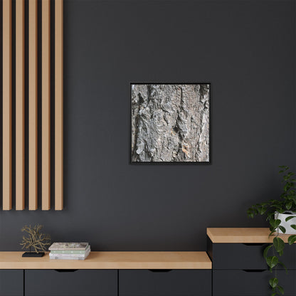Crusty Exterior - Unique Stretched Canvas Wall Art