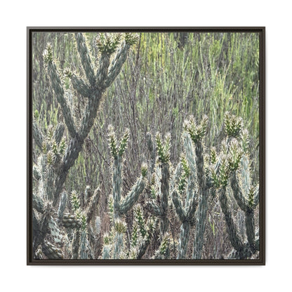 Prickly Paradise - Unique Stretched Canvas Wall Art