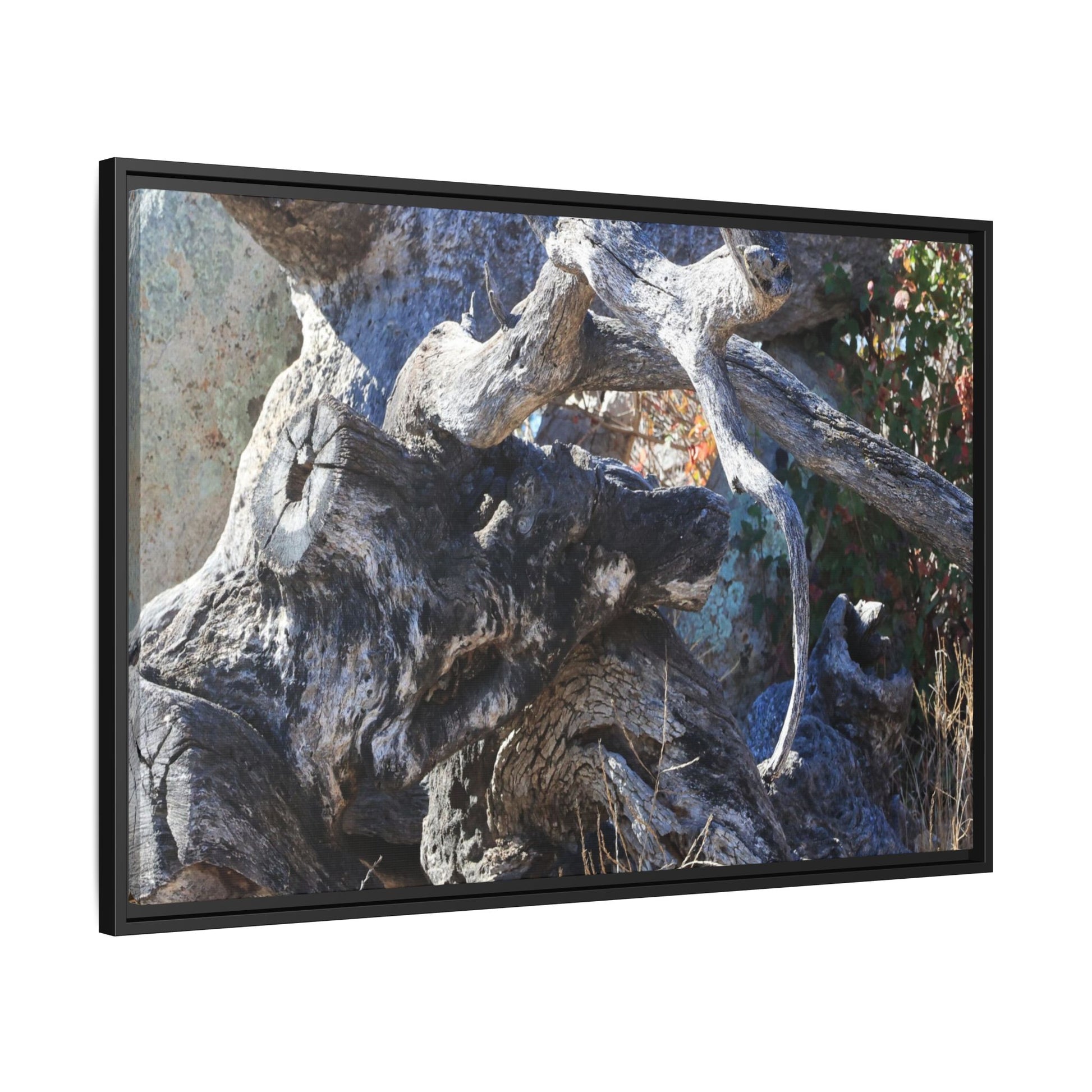 Resilient Roots - Unique Stretched Canvas Wall Art - Art By Earth
