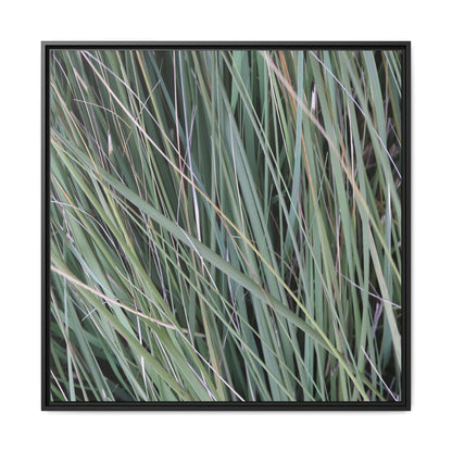 Grassland Symphony - Unique Stretched Canvas Wall Art