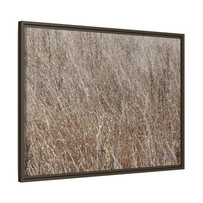 Dry Grass Symphony - Unique Stretched Canvas Wall Art - Art By Earth