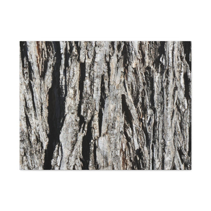 Bark Layers in Monochrome - Unique Frameless Canvas Wall Art
