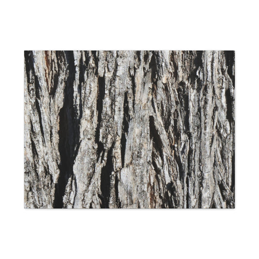 Bark Layers in Monochrome - Unique Frameless Canvas Wall Art