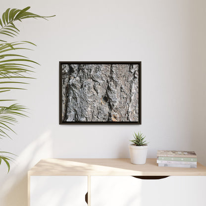 Crusty Exterior - Unique Stretched Canvas Wall Art