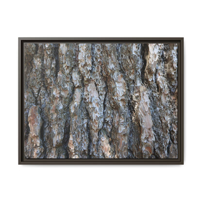 Bark Whispers - Unique Stretched Canvas Wall Art