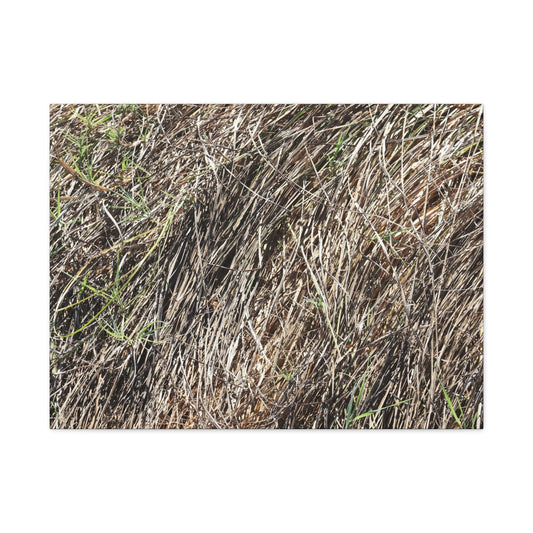 Tangled Wilderness - Unique Stretched Canvas Wall Art - Art By Earth