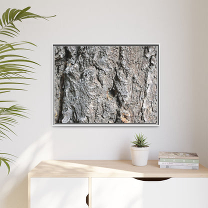 Crusty Exterior - Unique Stretched Canvas Wall Art