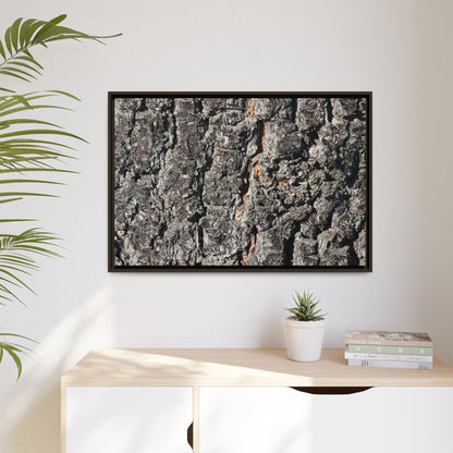 Aged Beauty - Unique Stretched Canvas Wall Art