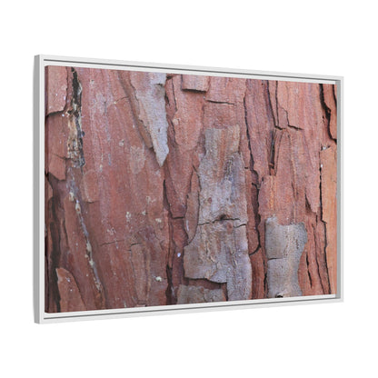 Peeling Bark - Unique Stretched Canvas Wall Art