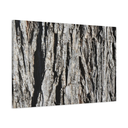 Bark Layers in Monochrome - Unique Frameless Canvas Wall Art