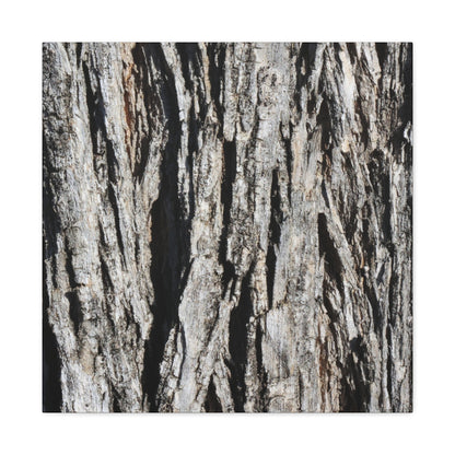 Bark Textures in Monochrome - Unique Frameless Canvas Wall Art
