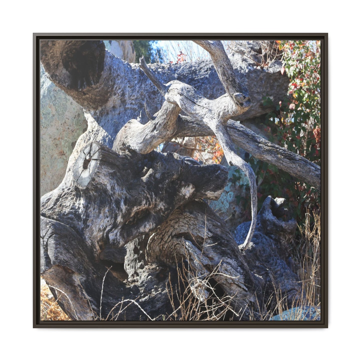 Resilient Roots - Unique Stretched Canvas Wall Art - Art By Earth