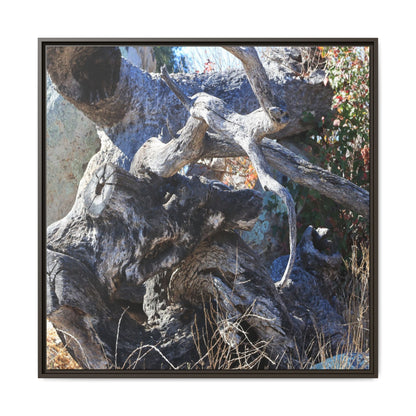 Resilient Roots - Unique Stretched Canvas Wall Art - Art By Earth