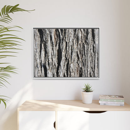 Bark Lines - Unique Stretched Canvas Wall Art