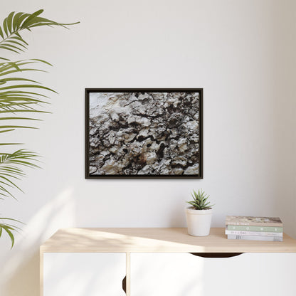 Cracked Terrain - Unique Stretched Canvas Wall Art