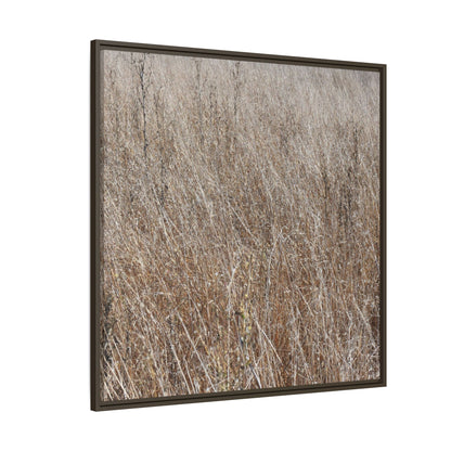 Dry Grass Symphony - Unique Stretched Canvas Wall Art - Art By Earth