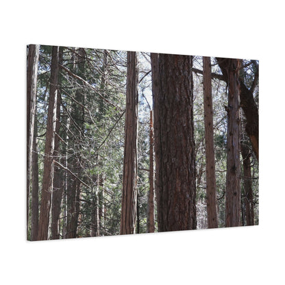 Vertical Sentinels - Unique Frameless Canvas Wall Art