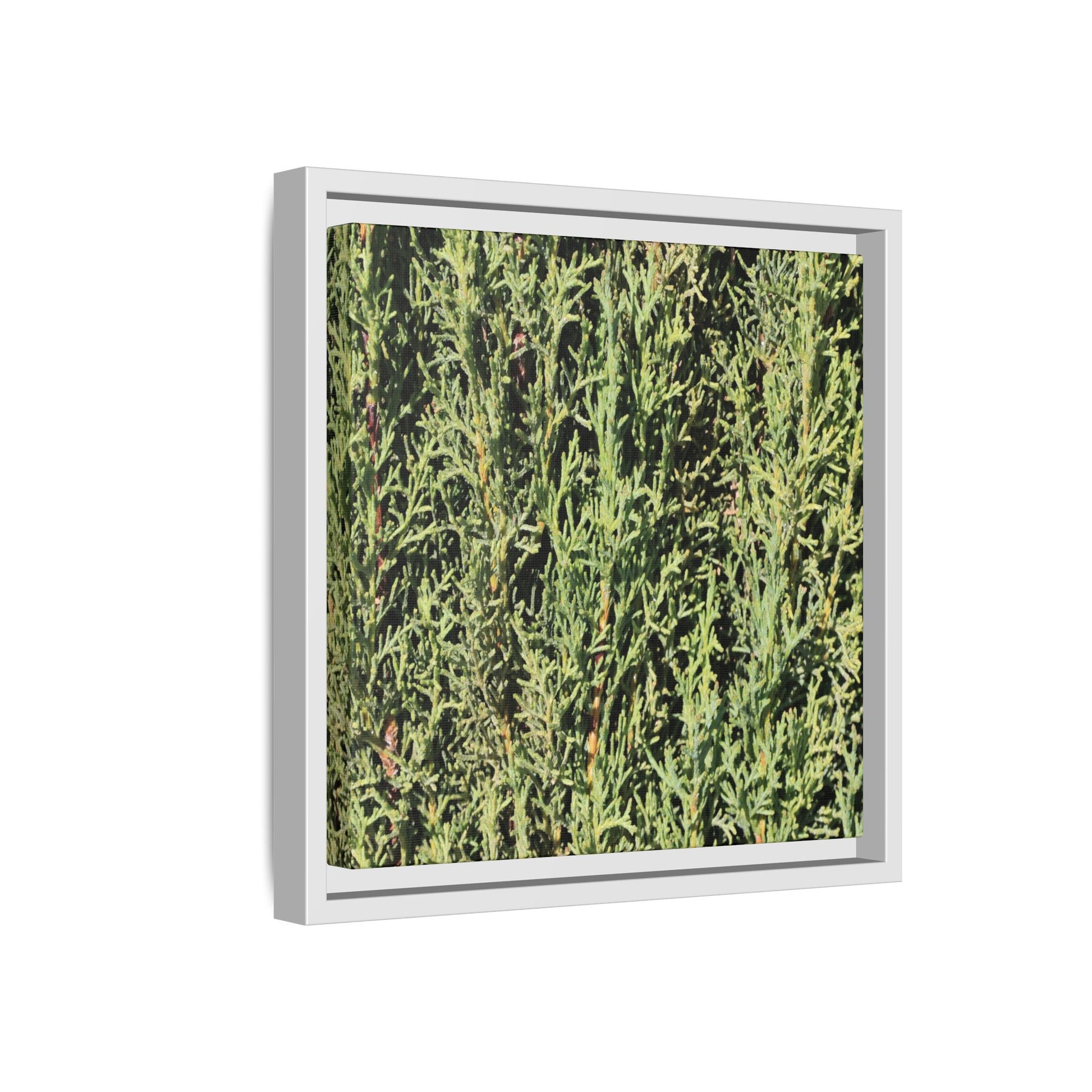 Emerald Labyrinth - Unique Stretched Canvas Wall Art - Art By Earth