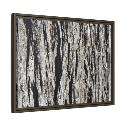 Bark Lines - Unique Stretched Canvas Wall Art
