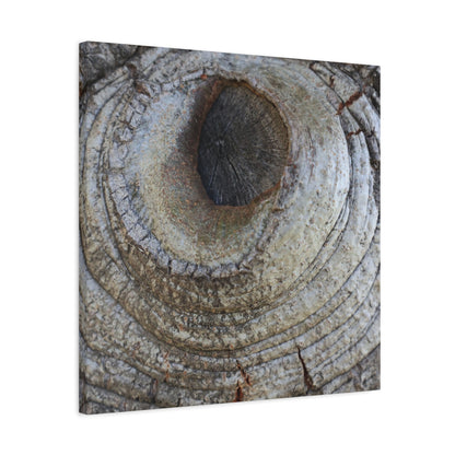 Bark's Eye - Unique Frameless Canvas Wall Art