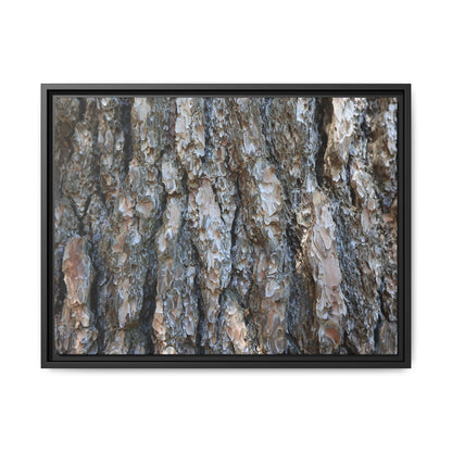 Bark Whispers - Unique Stretched Canvas Wall Art