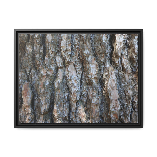Bark Whispers - Unique Stretched Canvas Wall Art