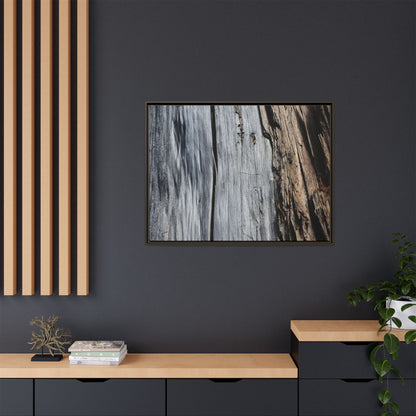 Wood's Lament - Unique Stretched Canvas Wall Art