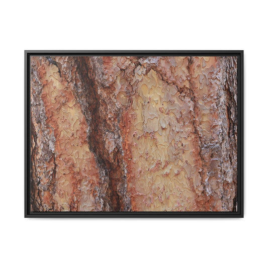Rustic Rhythms - Unique Stretched Canvas Wall Art